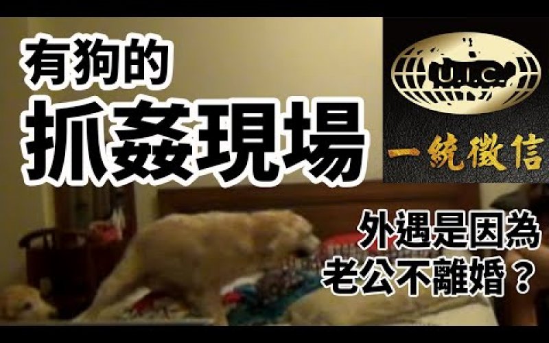 Embedded thumbnail for 如何突破看門犬抓姦? 老公不離婚是外遇的理由? 一統徵信社【抓姦現場】